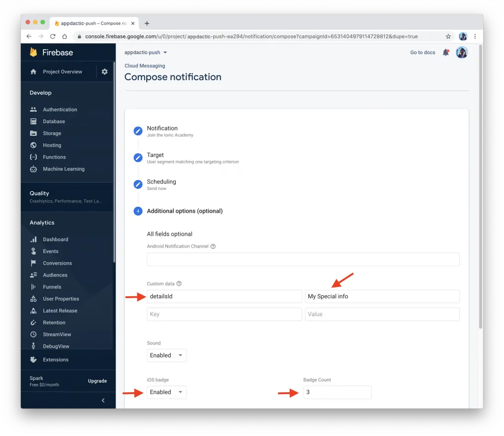 firebase-push-payload